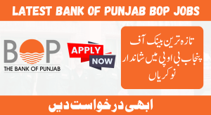 Bank Of Punjab BOP Jobs 2024