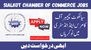 Sialkot Chamber Of Commerce & Industry Jobs 2024